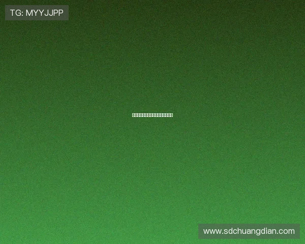 李鹏宇谈东北四大亮点助力中国足球